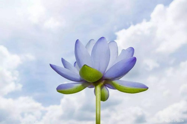 ���ܸ�ɮ������ʦ