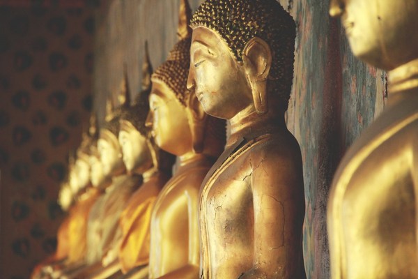 ����Ϊ��Ҫ�ܾ����蹩���Ľ�����