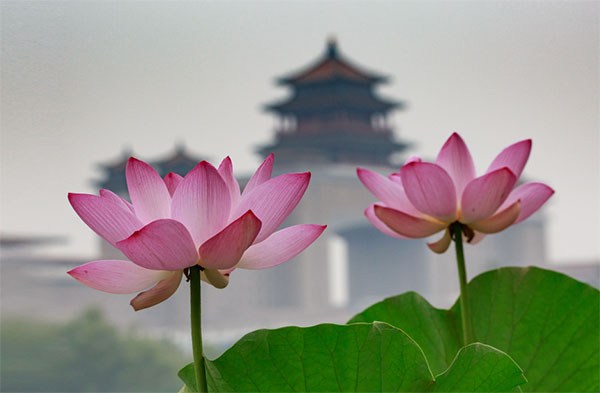 �ҽ���𣬱صü���