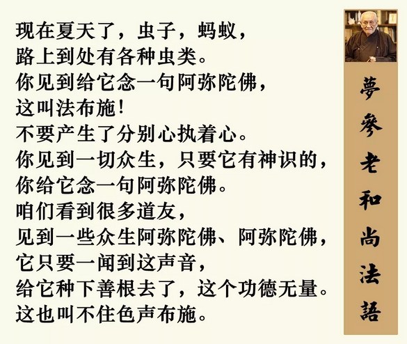 ���˲���������ô�죿�糿�������������