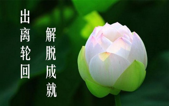 ����ӷ���������������ķ��ţ������̫�����