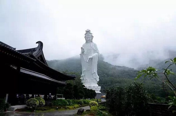 ���Ѳ���Ӧ���������������ӻ�