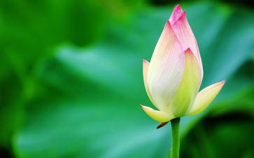 �һ��������Ҹ���