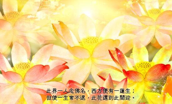 ��������뿪ʾ��ΰ���ʱ��