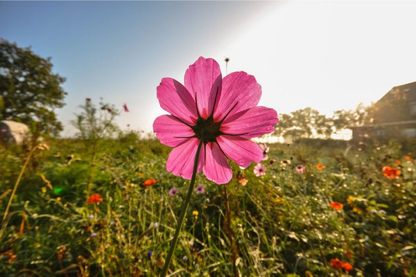 �ĳ����������ԻĲ��ܾ�