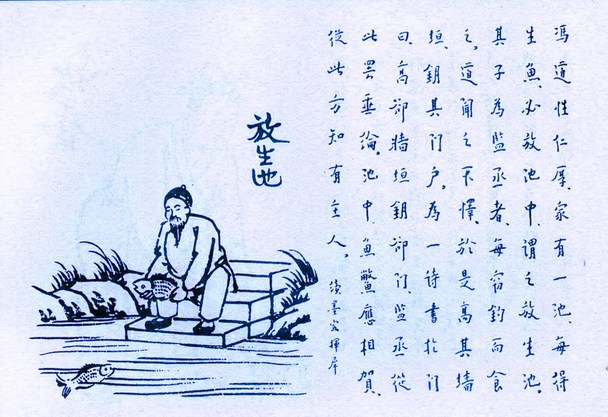 �Ŵ��������������Ĺ���