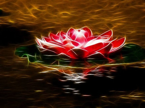 �ڡ����ҡ�֮�л�þ���Ļ���