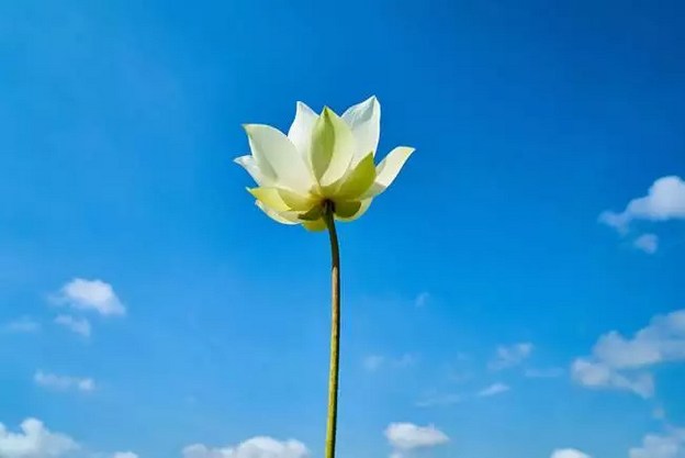 �ı��������������