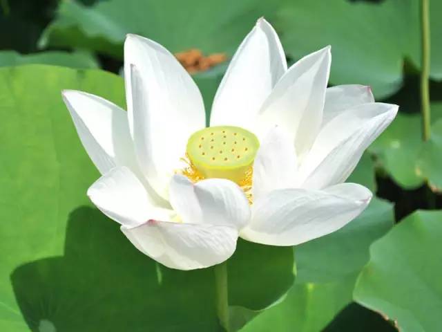 һ�𿴿�����˵����ж����