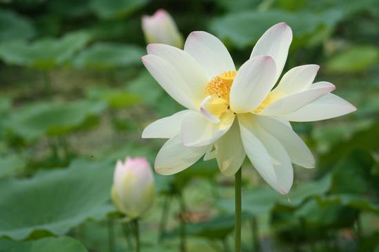 �꺣��ʦ��ӡ���ĳ�����һ���鸴