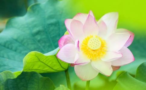 �꺣��ʦ��������ƪ