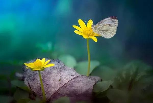 һ�쵱�����ս�������ϲ���²���˼��