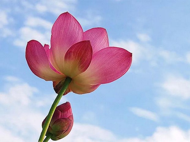 �ڵ¾������ƣ������˲�˵��10�ֻ�