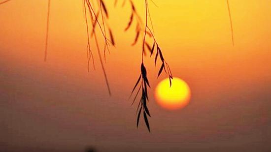 û�г����ģ���һ���Ʒ�Ҳ����������Ӧ