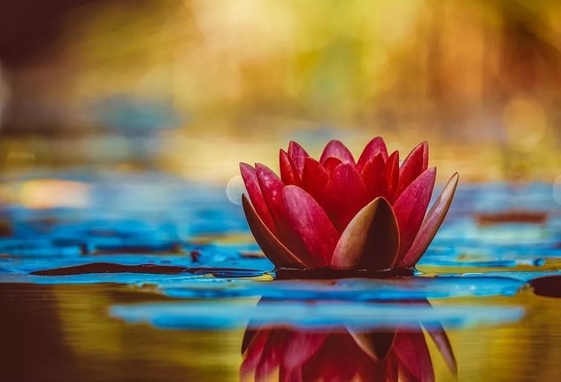 �q���ʦ�������ʡ���ʮ��