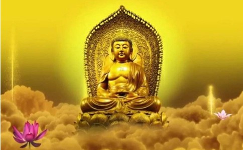 �x������ʢ�£�����Ⱦ������Ϊ��