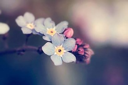 �������ܶ�ҵ�����Ƹ��������᲻��