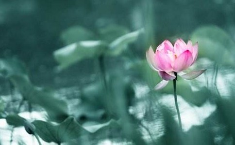 �ӵڰ�ʶ�����ֻ�۵��ڰ�ʶ��