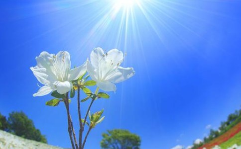 һ����ĸ���ڣ����ж�Ů��;