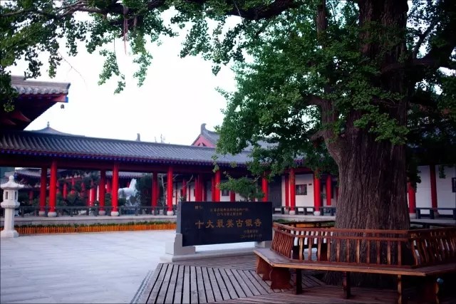 �����뾻����֮��ͬ