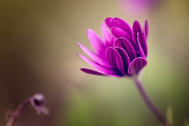 ����������ӳ֣���Ϊ����������������