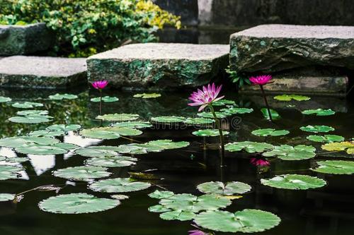 ˵���������ᴹ���ָ��ദʵ����