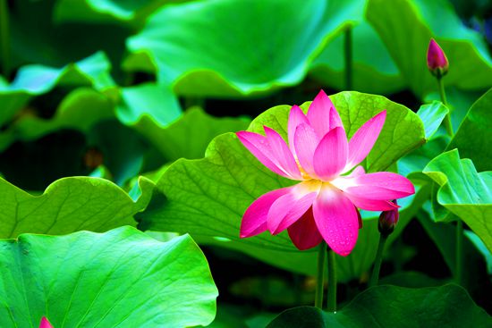 Ϊ��Ҫ�ñ��˵ĸ����ŵ㣬��Ű���Լ�