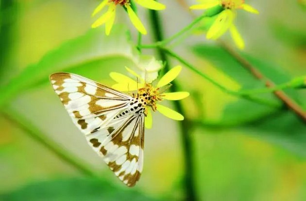 ѧ����Ĵ���Ե����������һ����