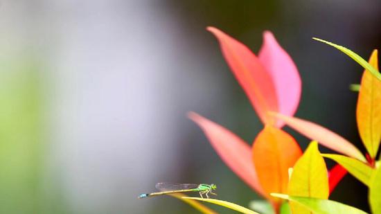 ��λ���������һֱ˯��������ô����