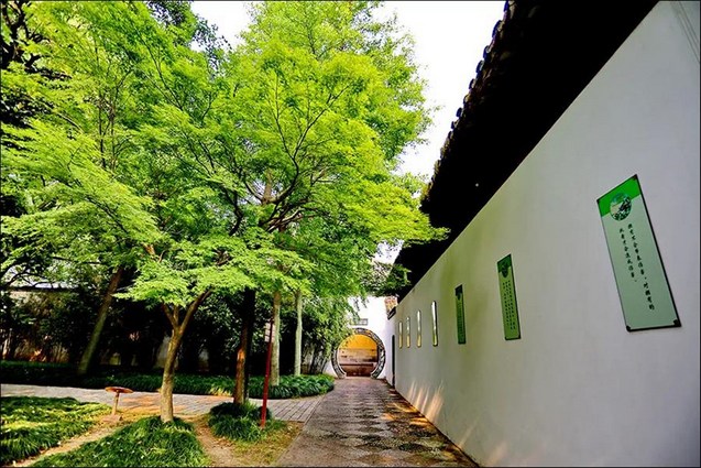 �����M����ʮ������