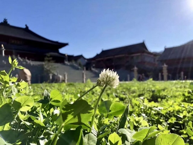 ��Ů�������������ӵ��������롹�����𡸽��롹