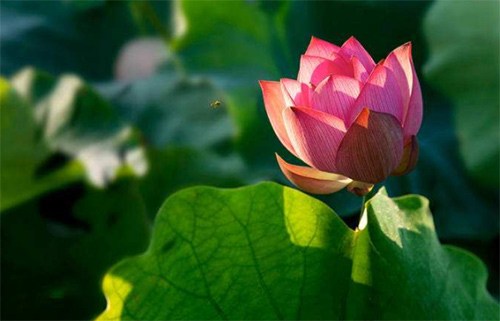 �ž�����鷿���������䣬�����ǲ��ǲ�����