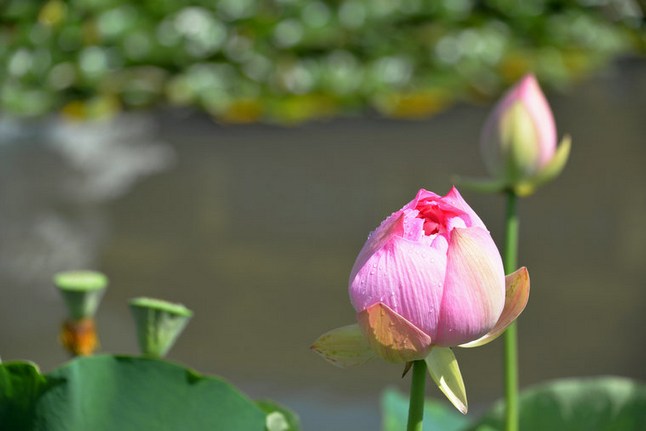 ��Ը���Ǻ��㣬����������������