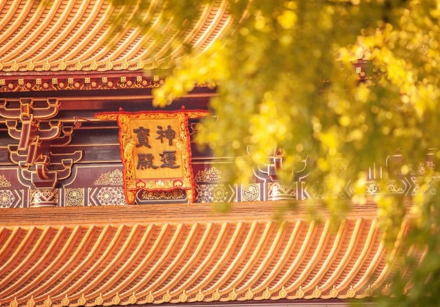 ����һ�о��綼��ǰ������Ȼ�ܹ�����