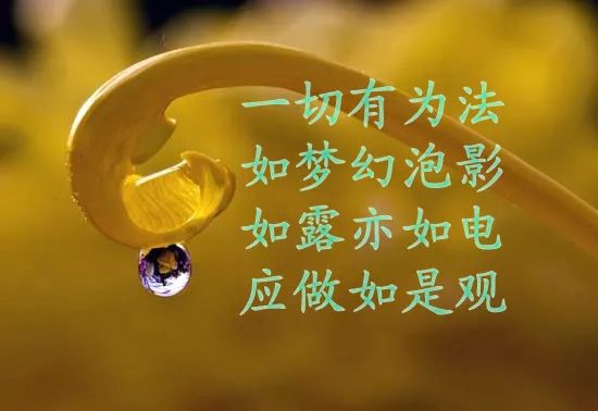 Ϊʲôһ�з�û����ʵ��
