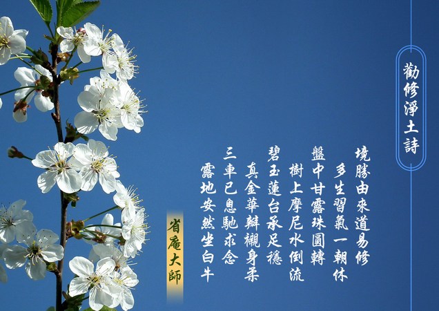 ʡ�ִ�ʦ�ľ����黳