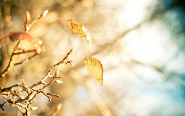 ��������Ǯ��շת��ʢ����ǧ��