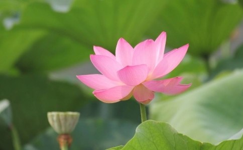 �����������صģ�����Ӱ�쵽��̵���˥