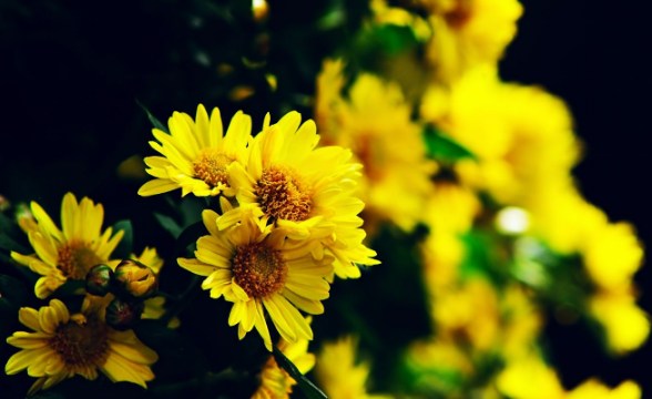 �������أ����Ʋ�ס����ô��