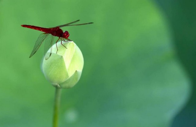 �ߵ����벻�������������մ̼�����ҵ��
