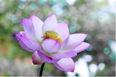 �q���ʦʾ�������