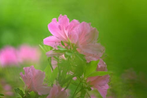 ��̸�е��ӻ���ҵ���ɲ���