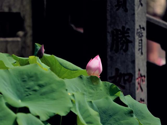 ʲô��ʮ��λ