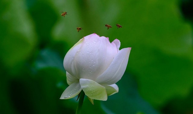 а���ڡ������ۡ����ָ���Ķ���