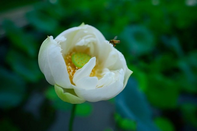 һ�ж�������ʵ�����б�Ҫ�ֱ��Ƿ��ƶ���