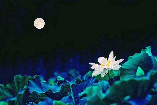 ��ʿ������ɮ�˾�ס��ʿ���編��