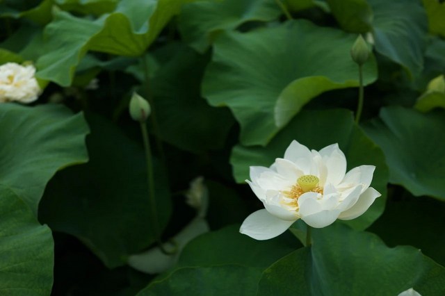 �����š��롸���֡��ĺ���
