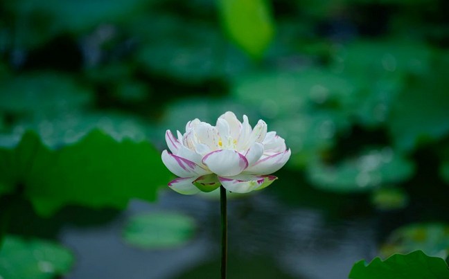 �澳Ҳ���ָ��������ô��������