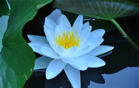 һ��ʮ���������Ϊ�λ�Ҫ��������