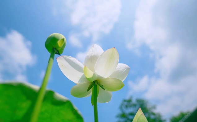 ֤���Ƿ�һ��Ҫ����Ⱥ��ʵ��